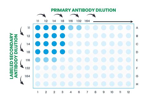 elisa test vitamin|how to read elisa plate.